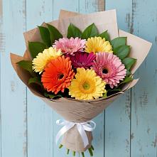 Букет цветов из:  Герберы #REPLACE_PRED# Павлоградке
