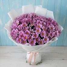 Букет цветов из:  Хризантемы в Павлоградке