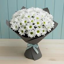 Букет цветов из:  Хризантемы в Павлоградке