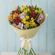 Букет цветов из:  Альстромерии #REPLACE_PRED# Павлоградке