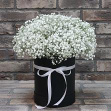 Цветочная композиция из Гипсофила в шляпной коробке в Павлоградке
